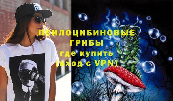 молекула духа Алзамай