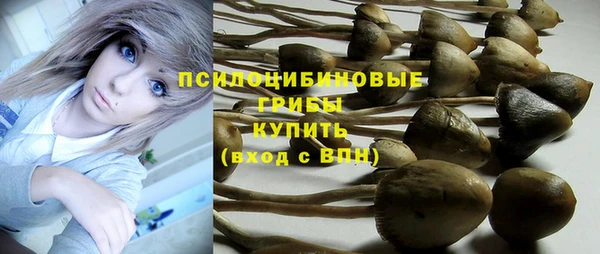 молекула духа Алзамай